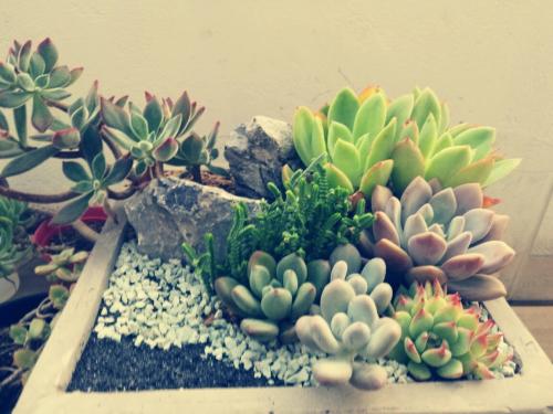 ȫȷ79232555 ֱ¹ڲȾ